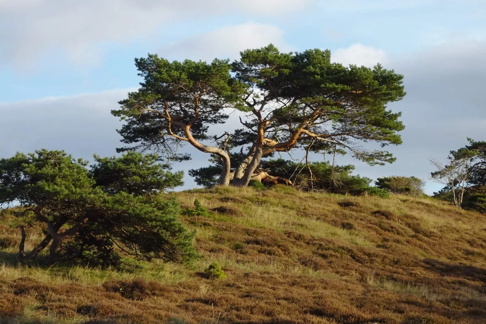 Retraite de luxe avec piscine -- By Traum Ferienwohnungen-Vue sur l'eau