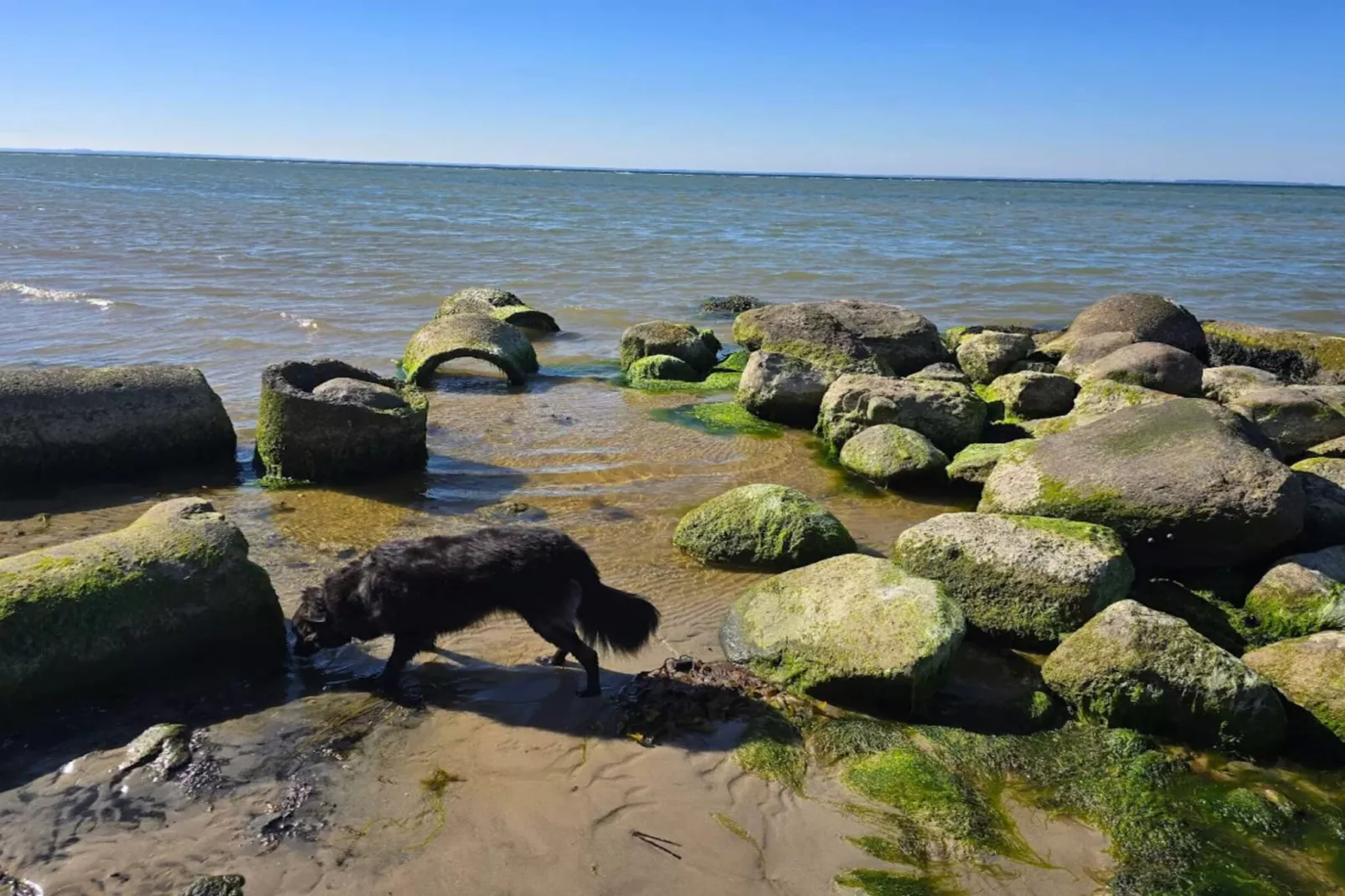 30 Personen Ferienhaus in Nordborg-By Traum-Wasserblick