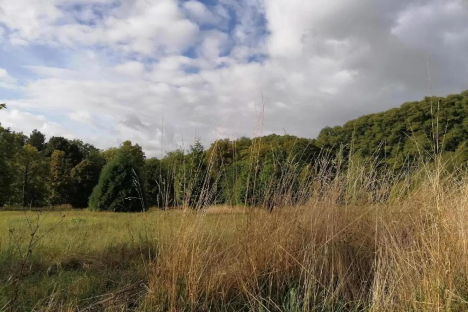 Weserbergland - Bad Pyrmont-Areas within 20km in summer