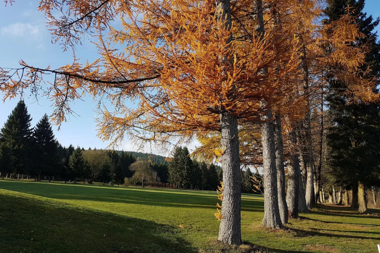 Weltring-Park 2-T-Areas within 20km in summer