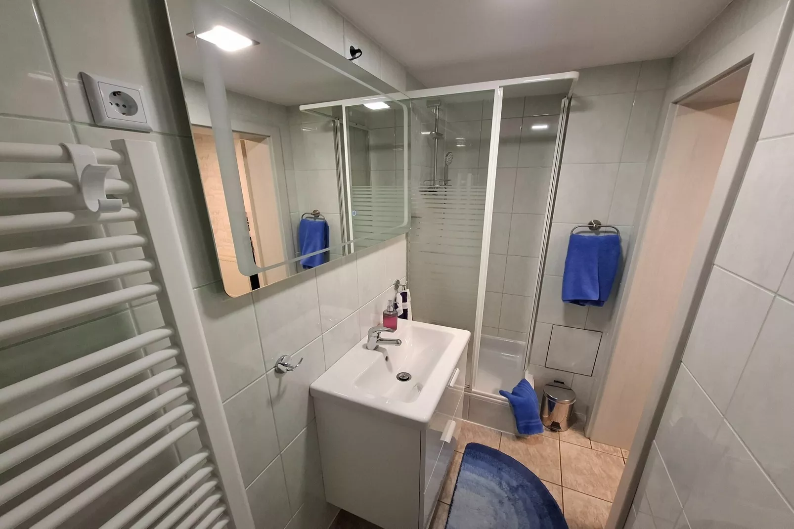 Ferienhaus im Thüringer Wald-Bathroom