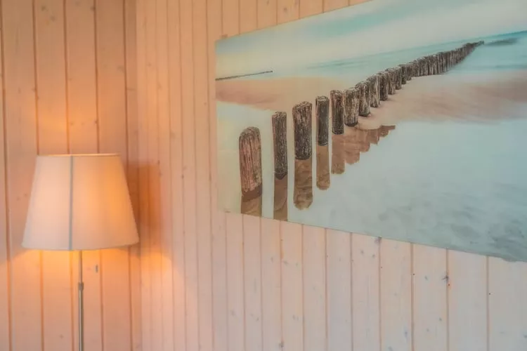 Sommerhus-nordlys 80 qm-Ambiance