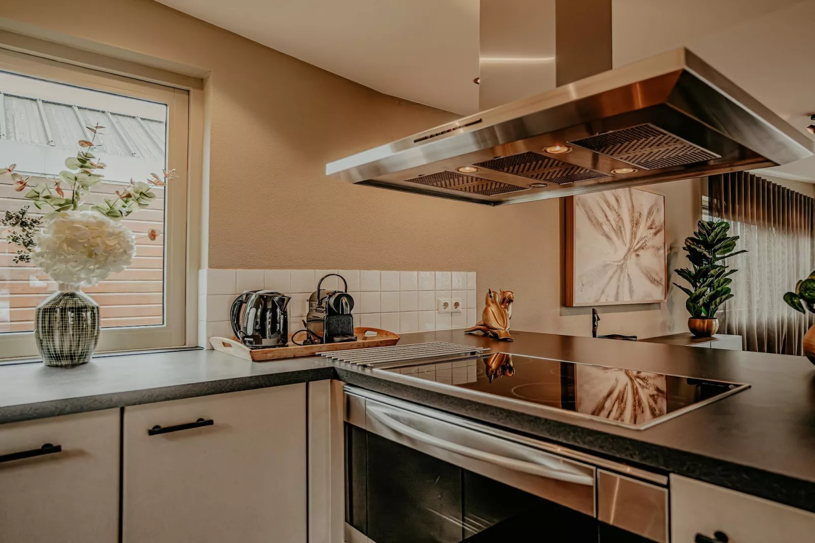 Waterpark de Meerparel 5-Kitchen