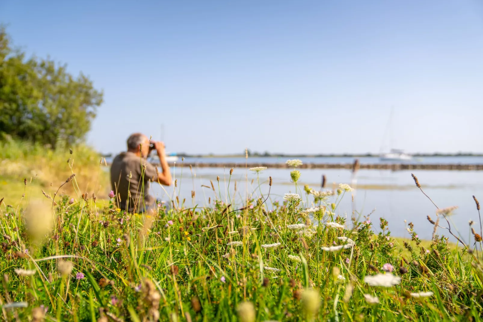 Eco Resort Grevelingenstrand-Areas within 1km in summer