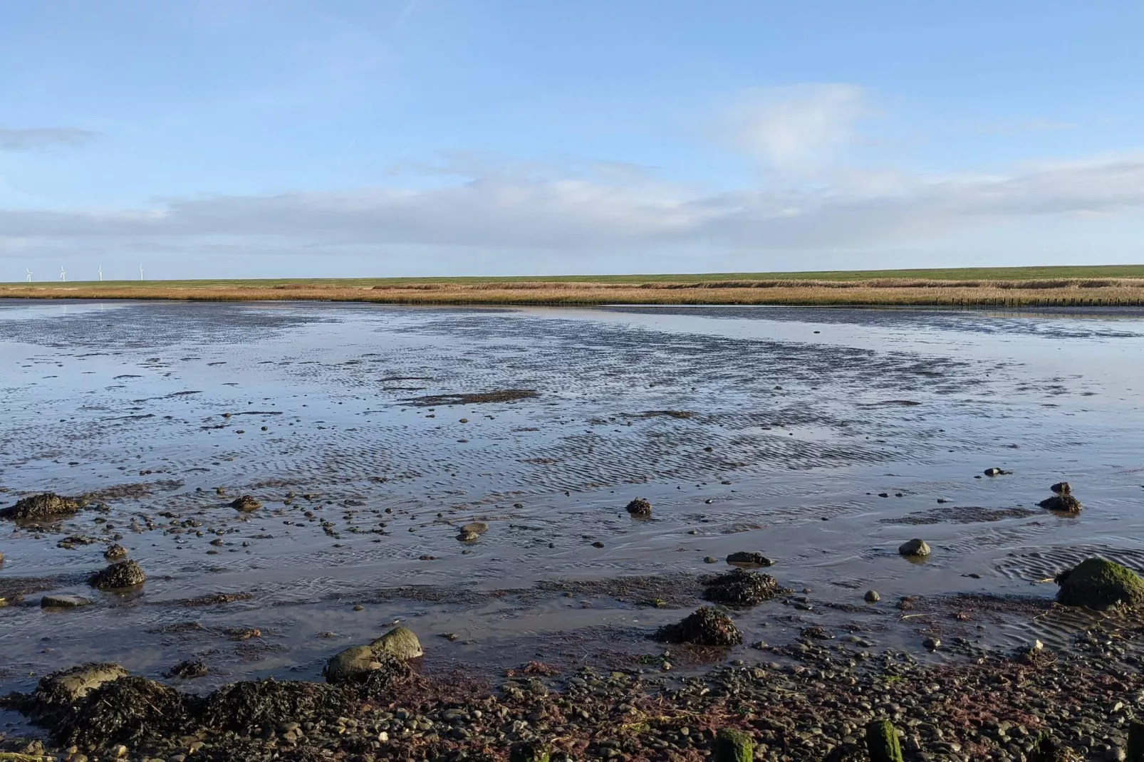 6 Personen Ferienhaus in Højer-By Traum-Wasserblick