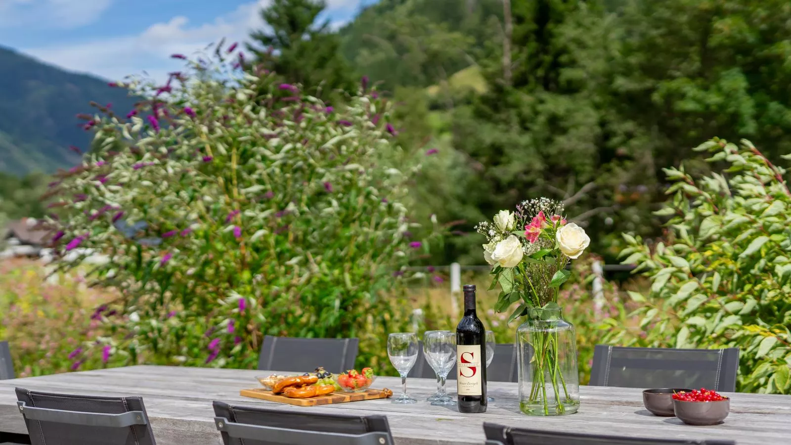 Donnersbach Lodge-Terrace balcony