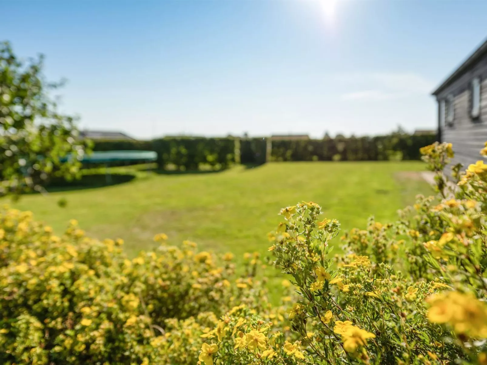 "Myrte" - 500m from the sea-Dehors