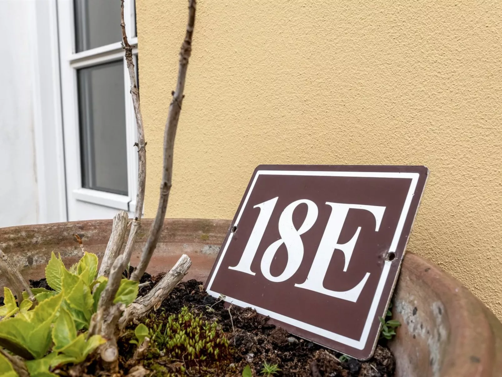 "Frederike" - 300m from the sea-Outside