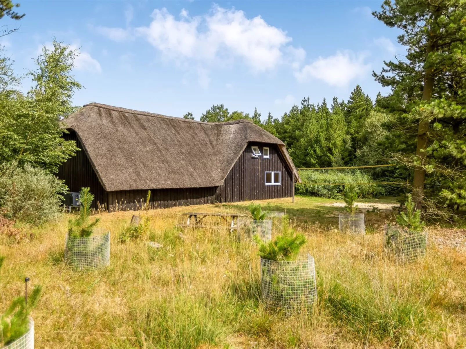 "Ellanor" - 1km from the sea-Outside