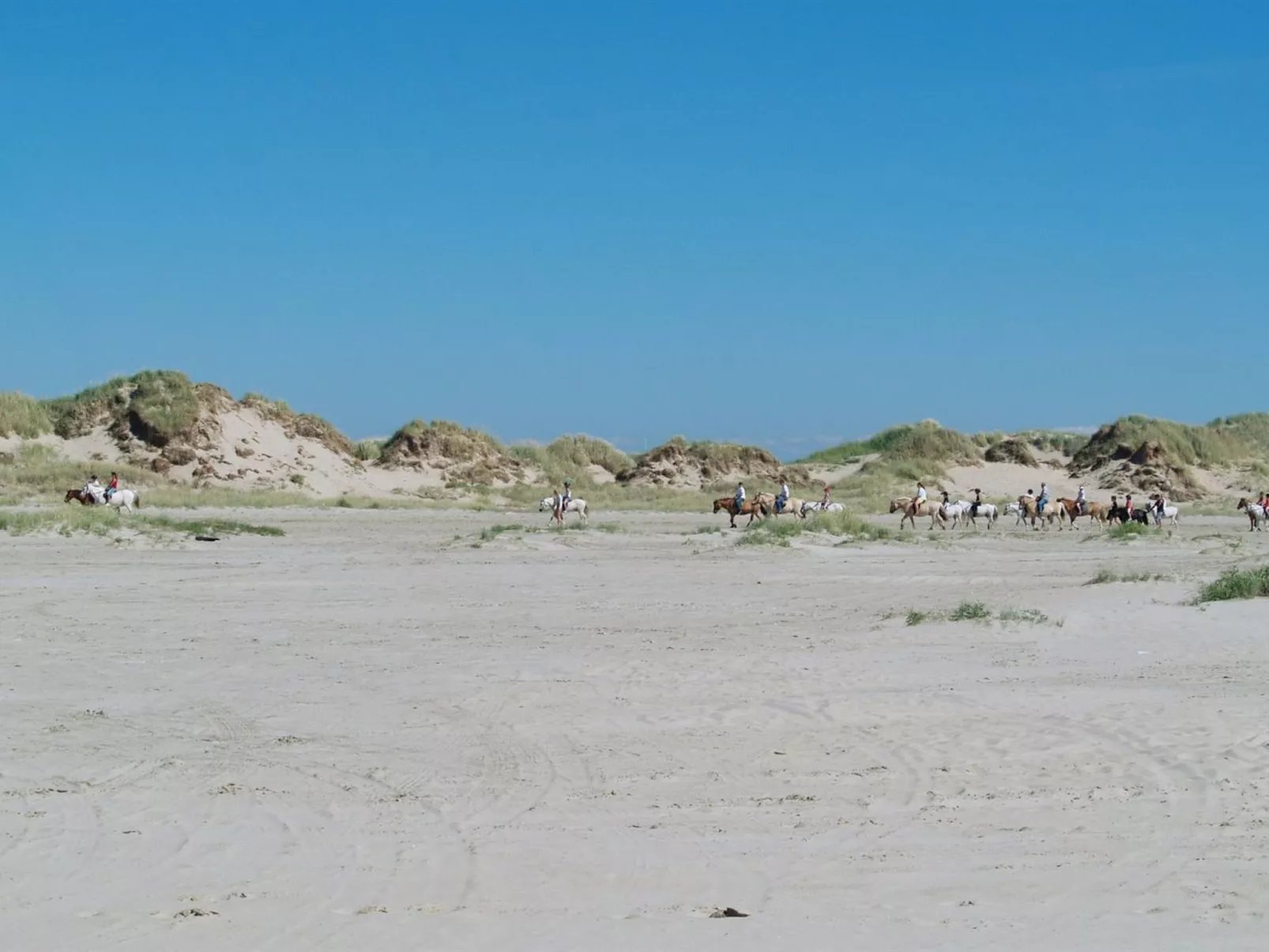 "Sigrun" - 4km from the sea-Draußen