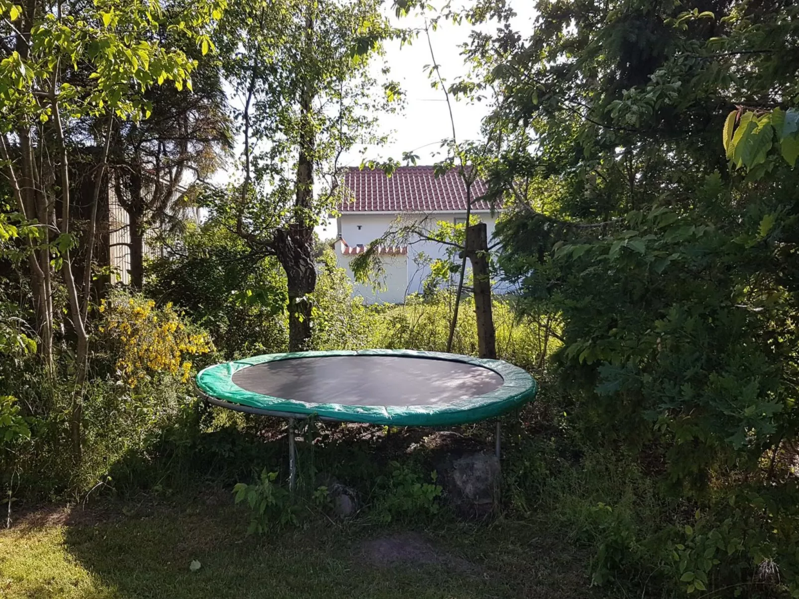 "Golubinka" - 500m from the sea-Dehors