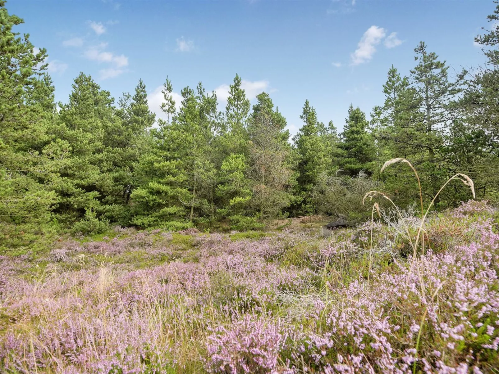 "Keke" - 2.5km from the sea-Outside