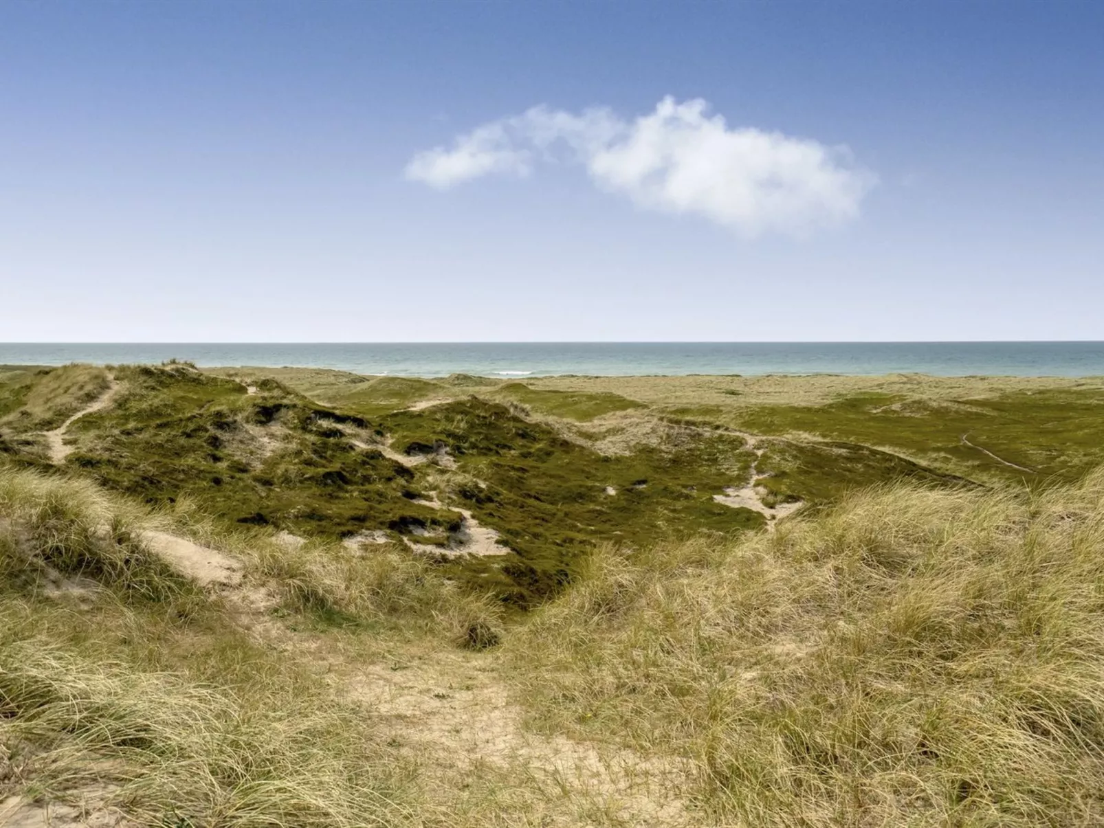 "Fabiana" - 350m from the sea-Outside