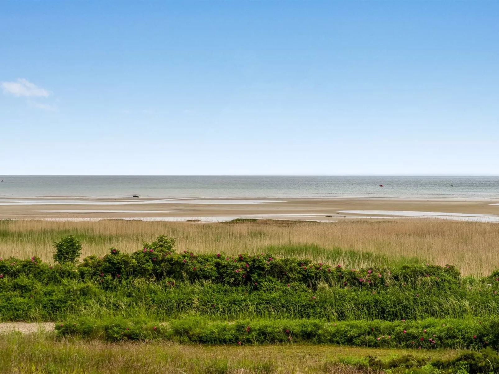 "Elpida" - 100m from the sea-Dehors