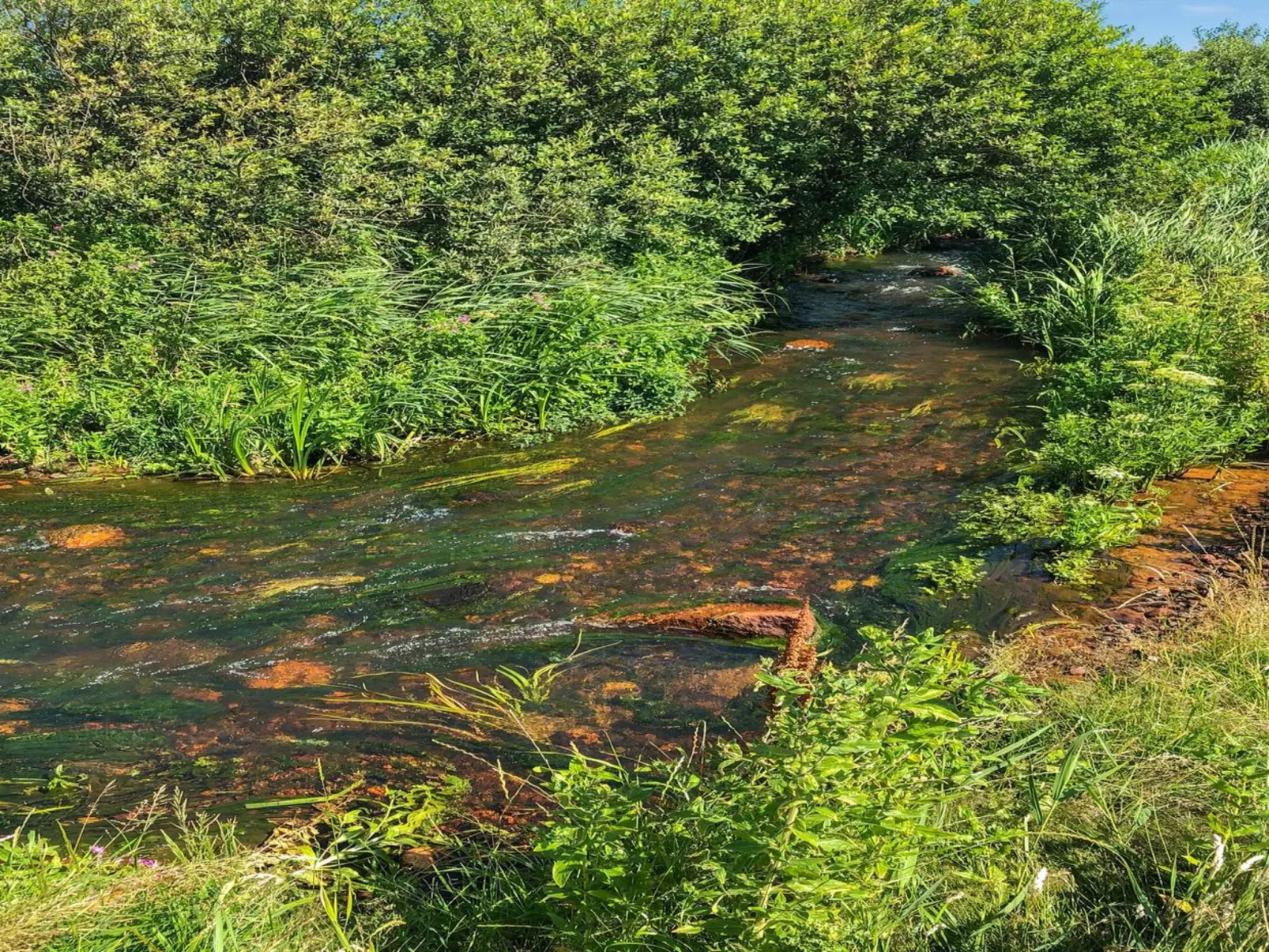 "Lökea" - 800m from the sea-Draußen
