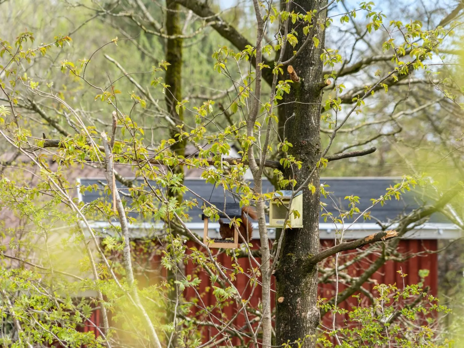 "Kea" - 30km from the sea-Inside