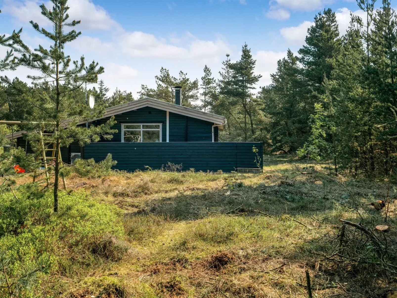 "Herborg" - 1km from the sea-Outside