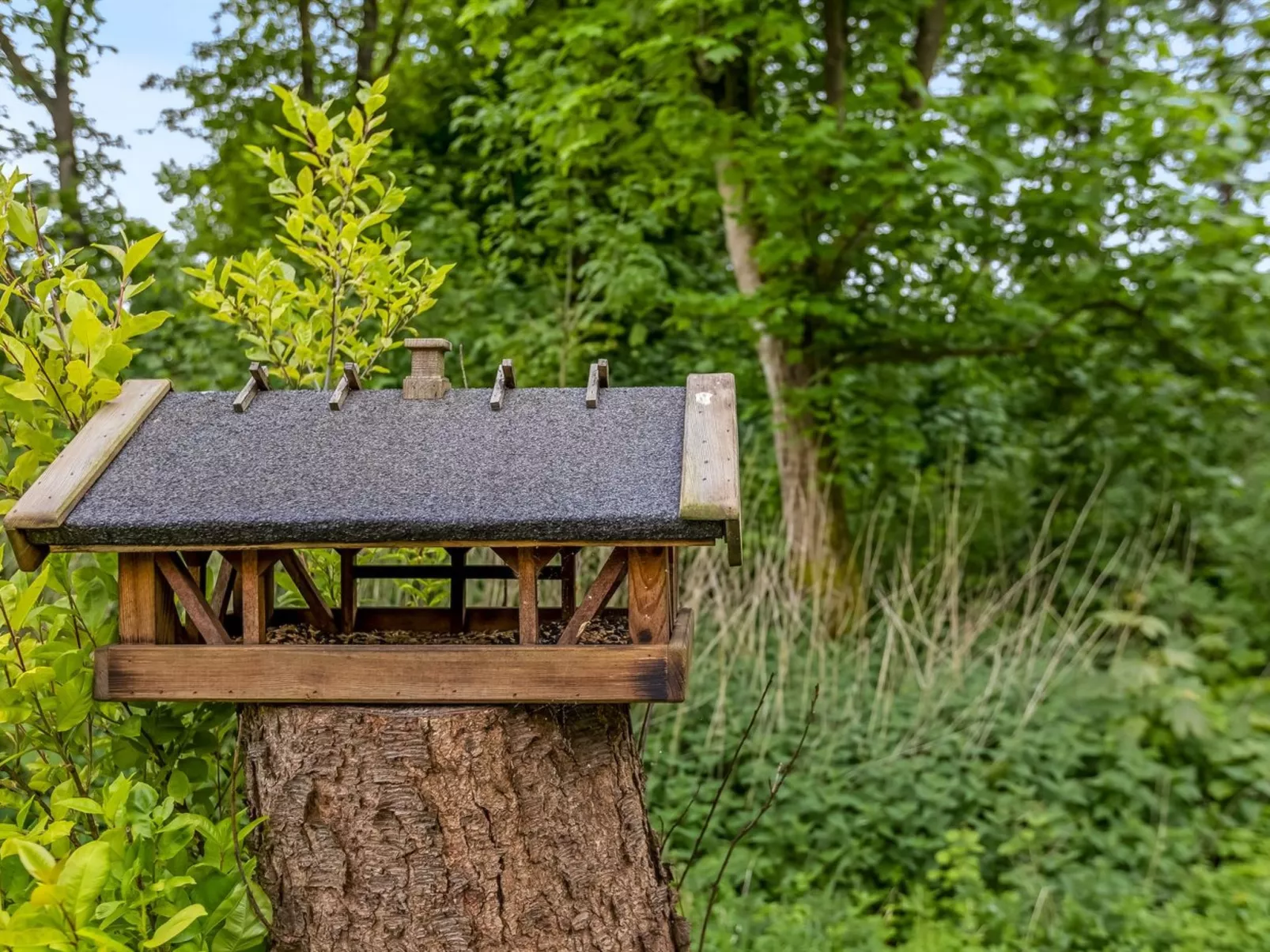 "Asulf" - 31km from the sea-Drinnen