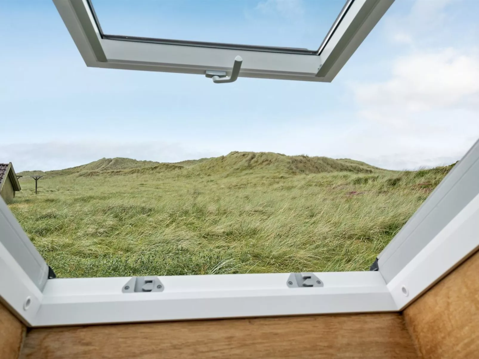 "Felina" -  from the sea-Outside