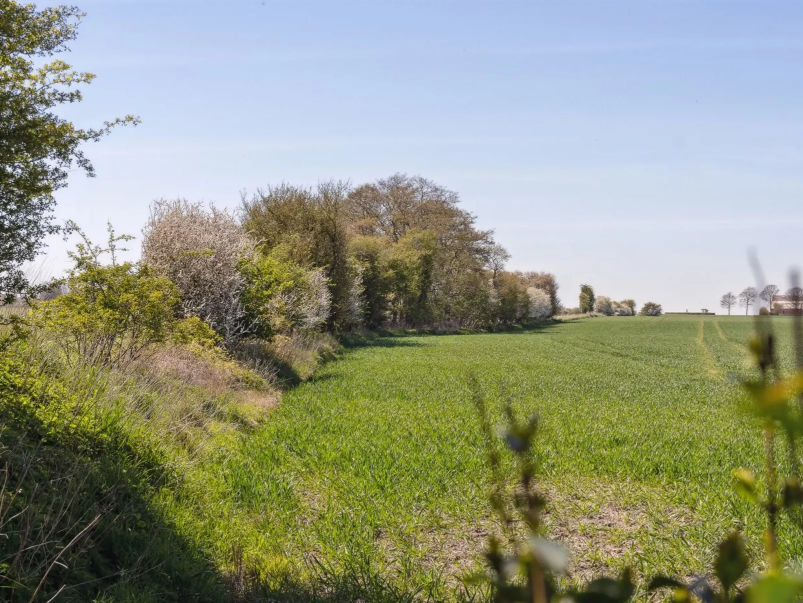 "Evamaria" - 350m from the sea-Dehors