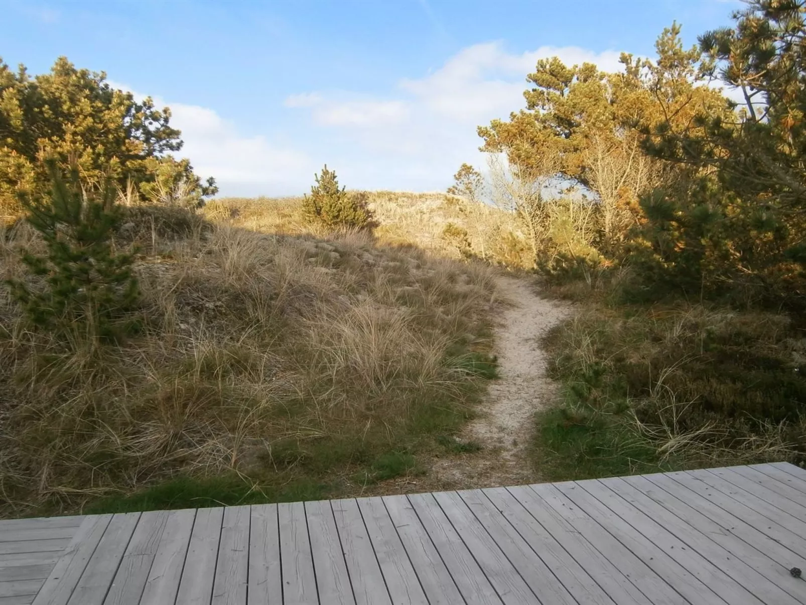 "Lewe" - 150m from the sea-Draußen