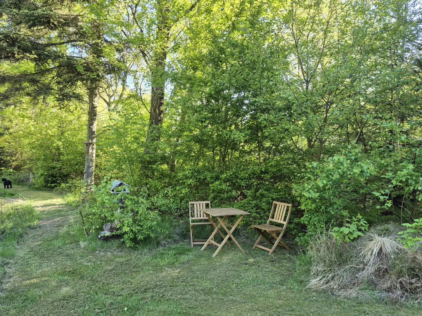 "Aswarth" - 50m to the fjord-Outside