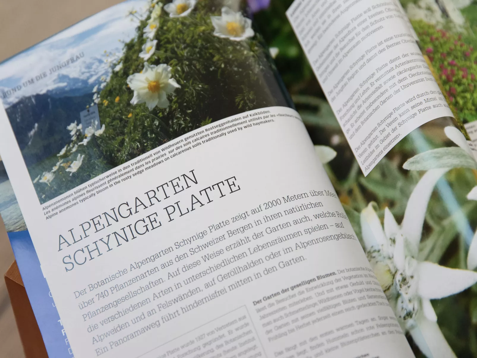 Breithorn Residence Apt.09-Dedans