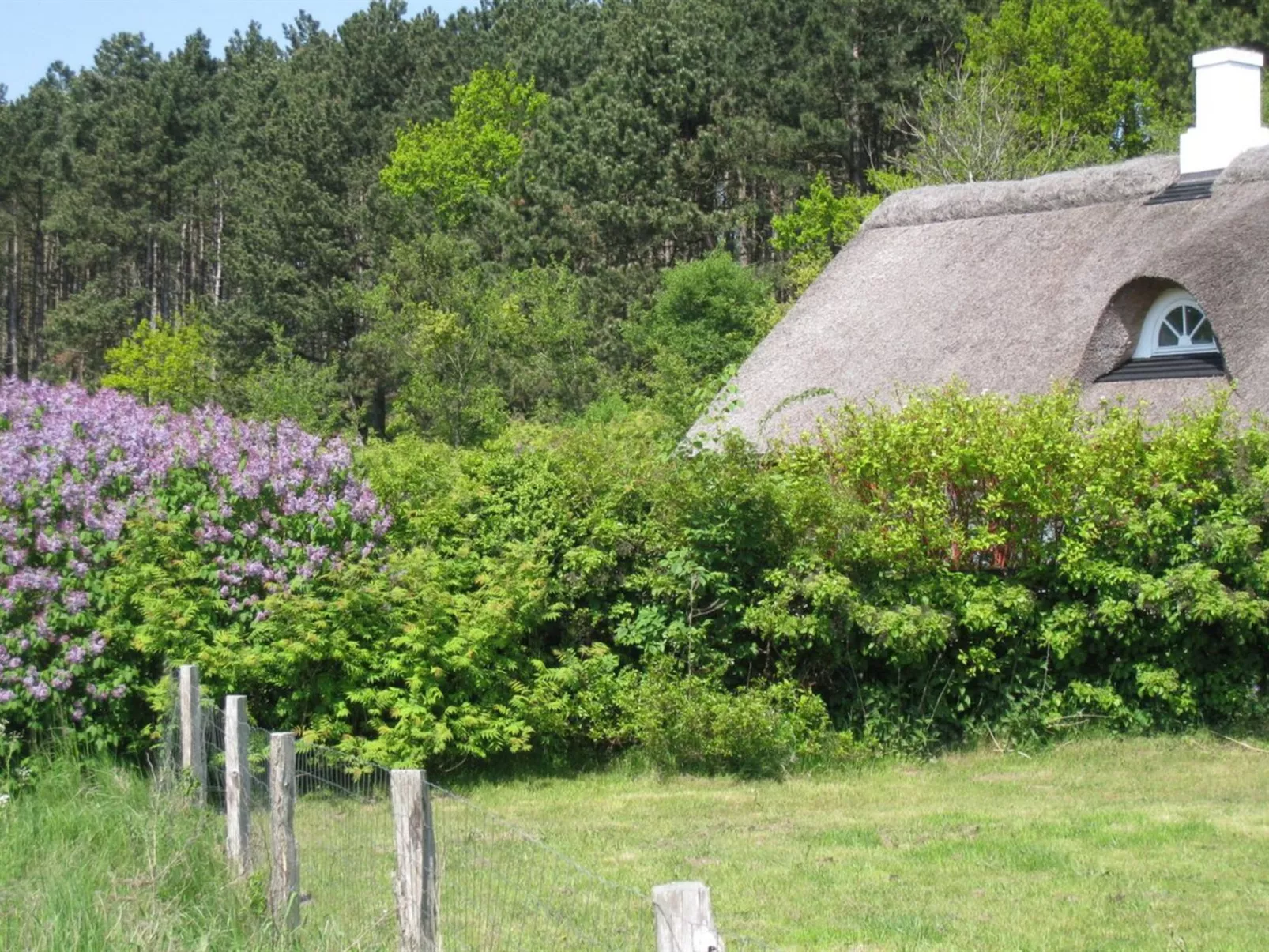 "Eva" - 1.5km to the fjord-Dehors