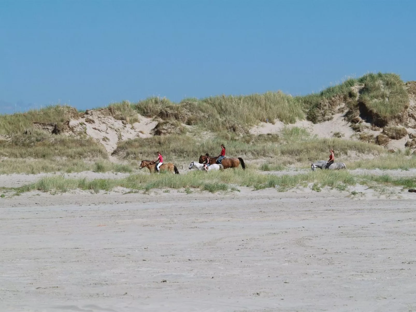 "Fiona" - 800m from the sea-Outside