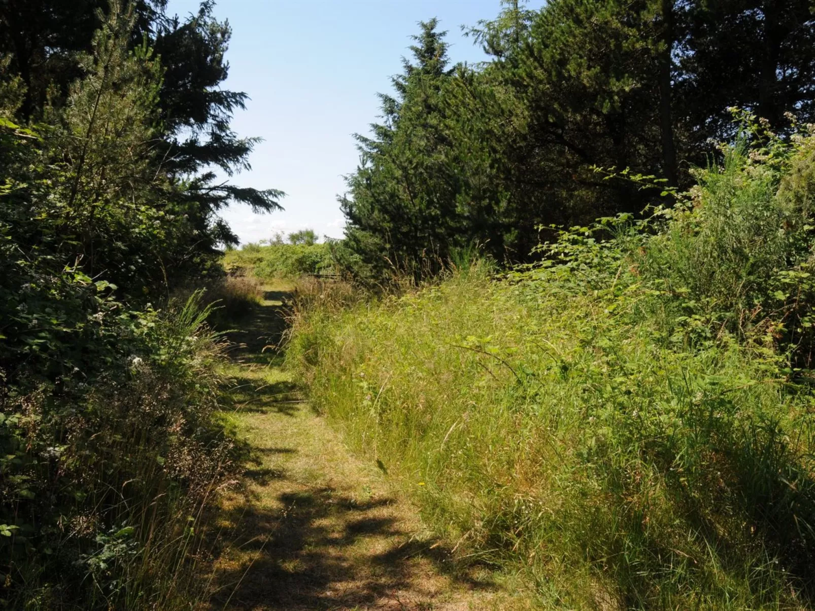 "Kalv" - 75m from the sea-Outside