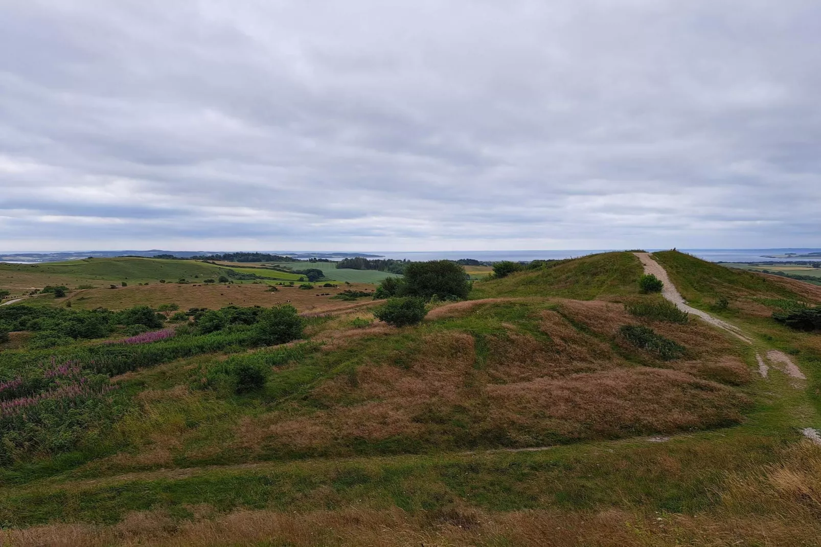 6 person holiday home in Knebel-By Traum-Untagged