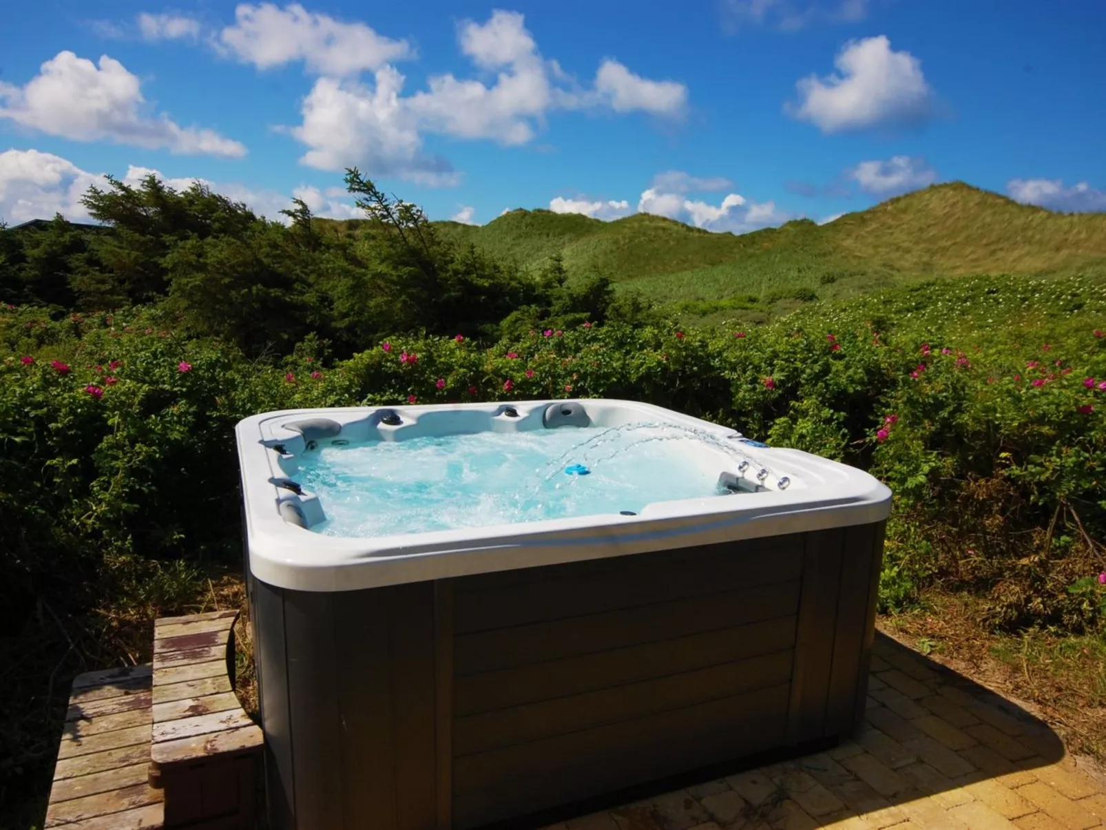 "Ejvind" - 100m from the sea-Inside