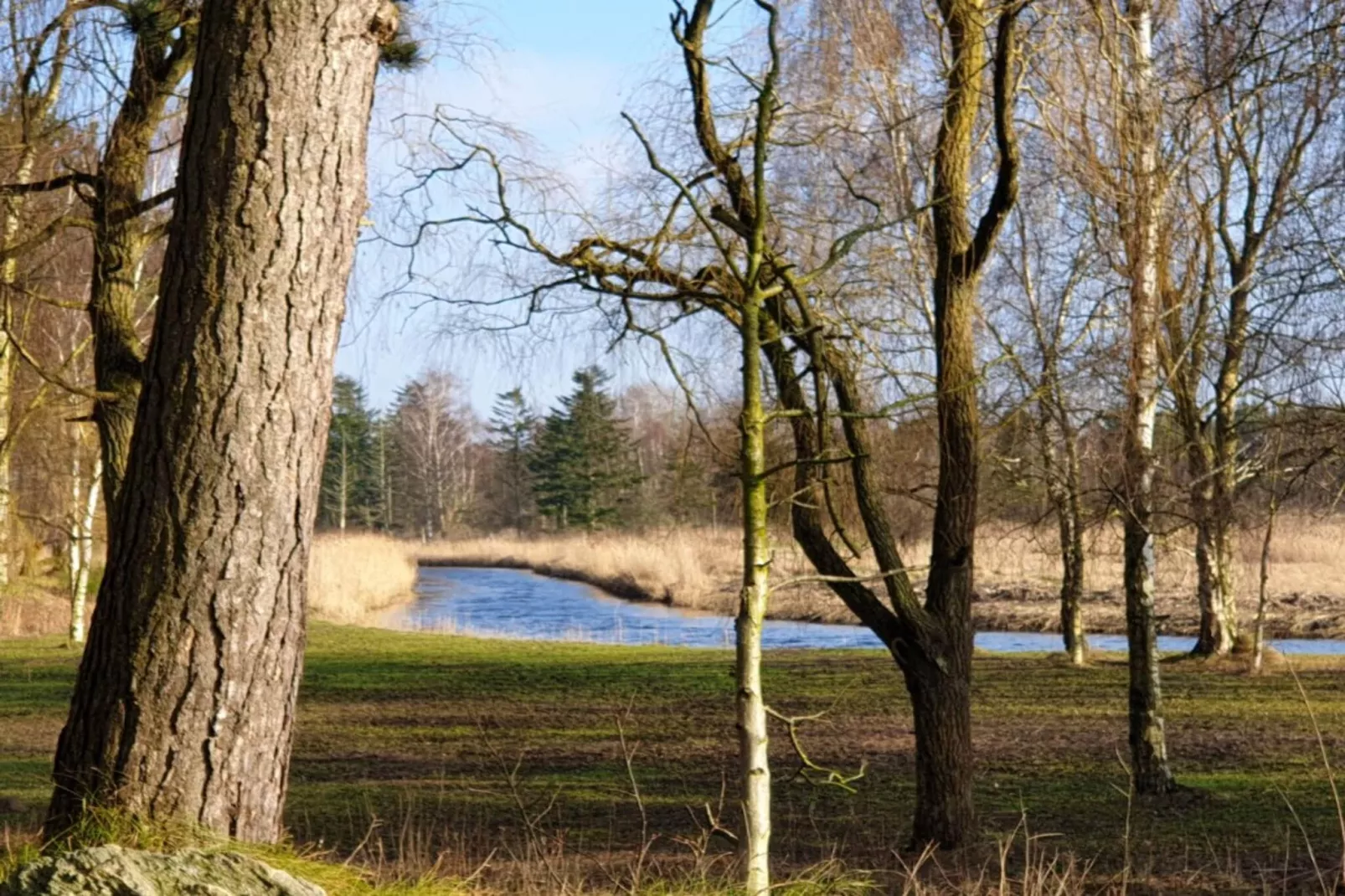 8 person holiday home in Store Fuglede-By Traum-Water view