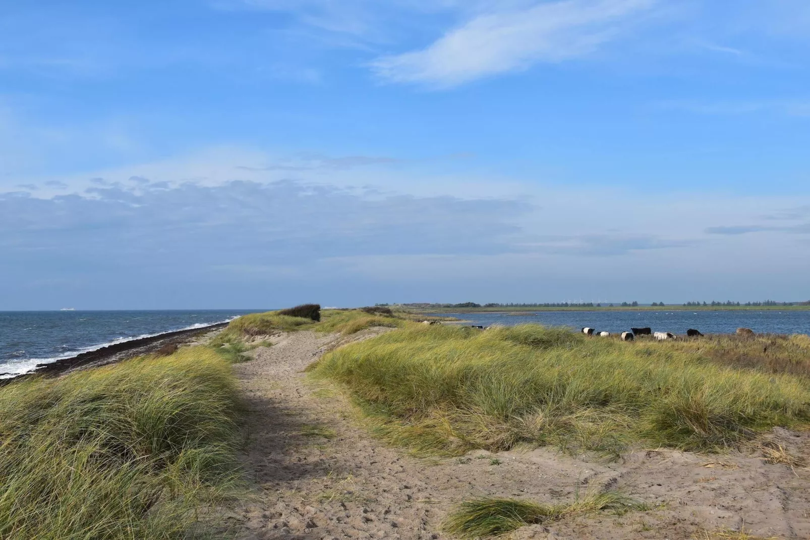 4 Personen Ferienhaus in Rødby-By Traum-Wasserblick