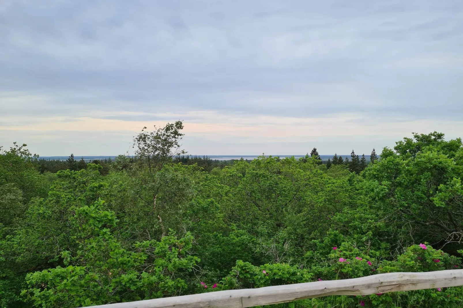 6 person holiday home in Henne-Untagged