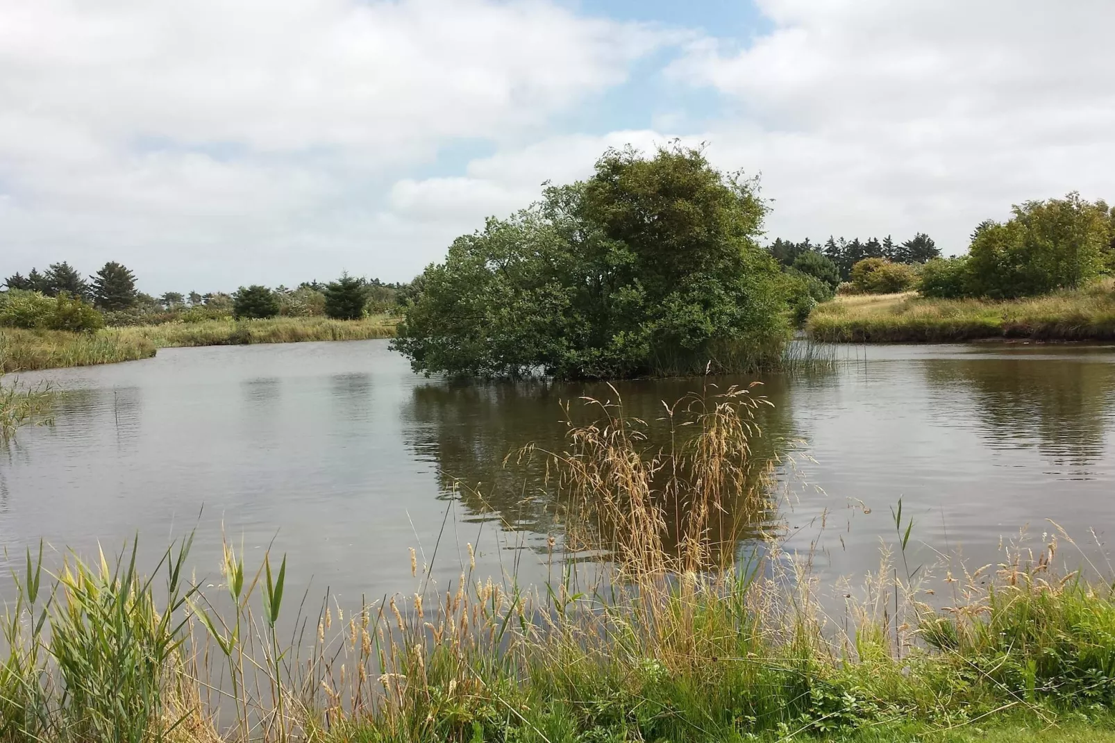 Maison de vacances pour 5 a Skjern-By Traum-Vue sur l'eau