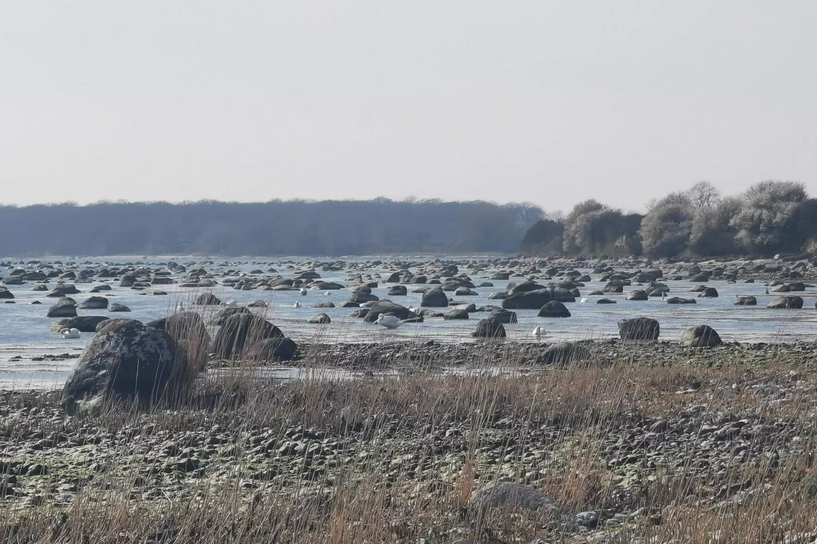 Maison de vacances pour 6 a Rødvig Stevns-By Traum-Vue sur l'eau