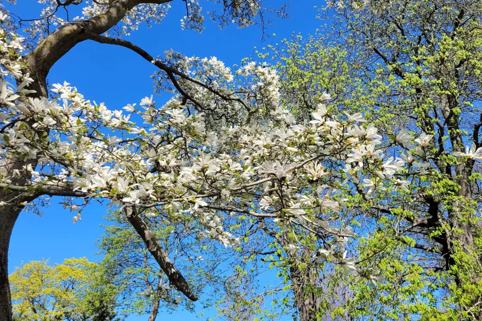 4 etoiles maison de vacances a ENSKEDE-By Traum-Vue sur l'eau