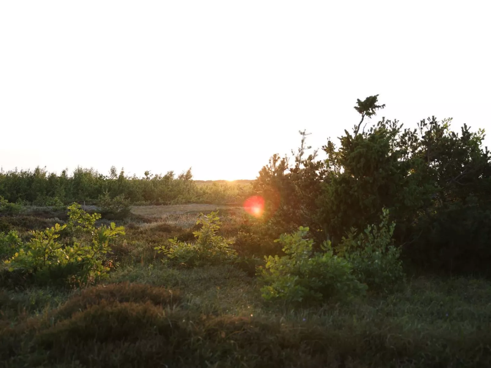 "Blakke" - 200m from the sea-Draußen