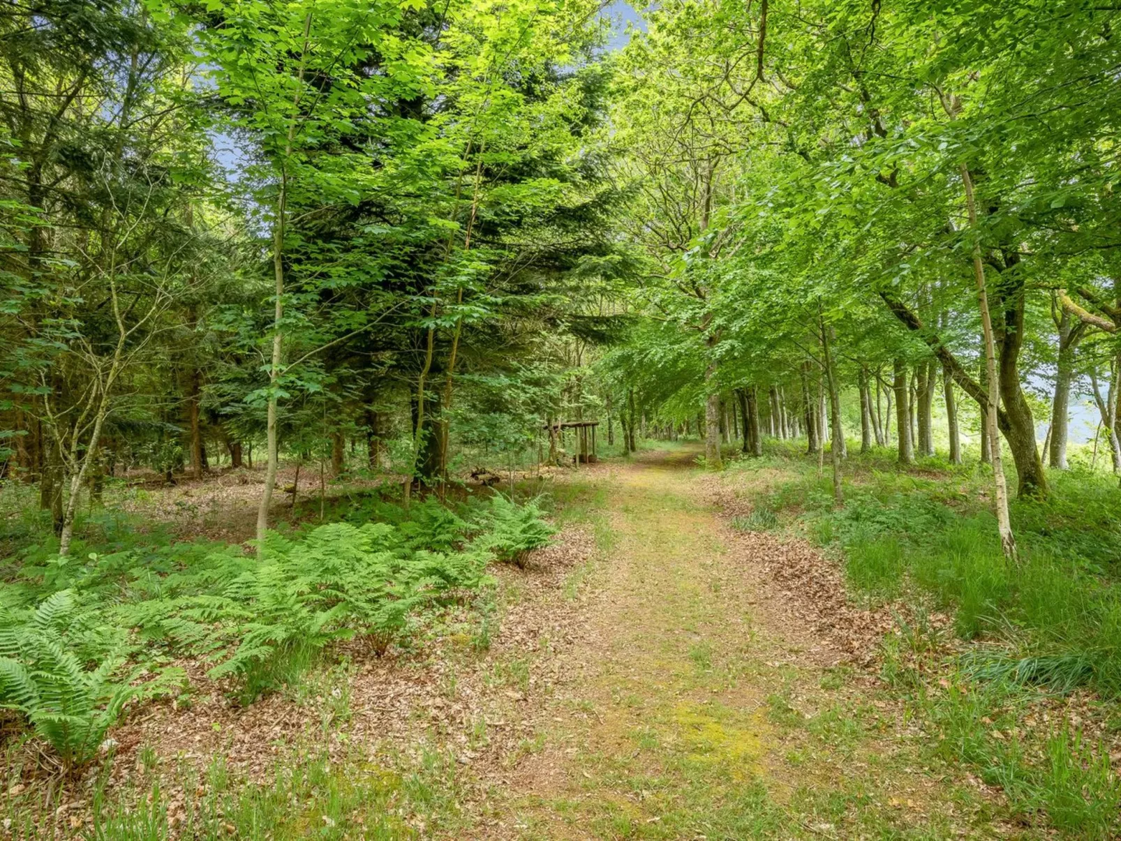 "Tatiane" - 10km from the sea-Outside