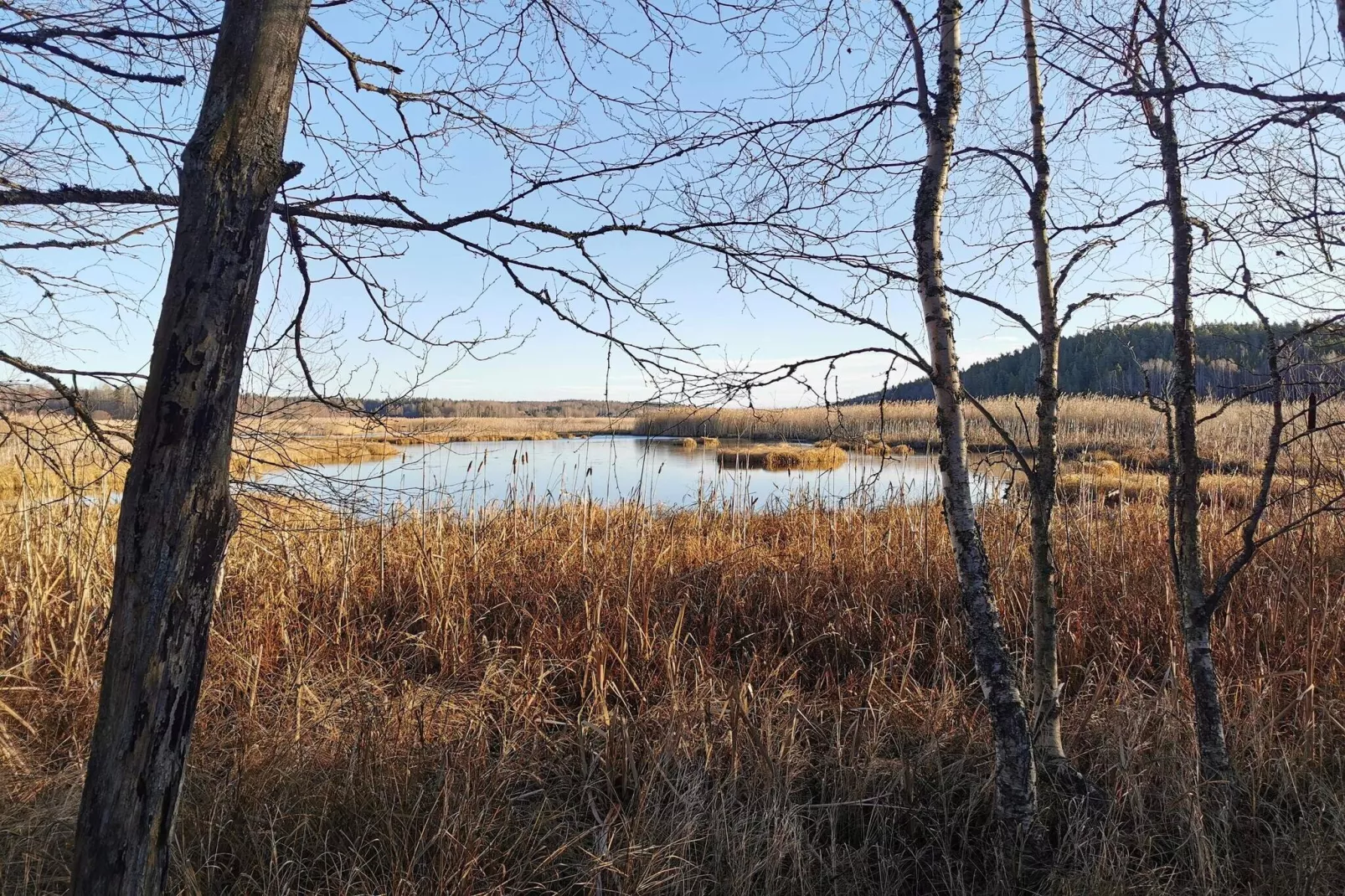4 etoiles maison de vacances a SÖDERALA-By Traum-Vue sur l'eau