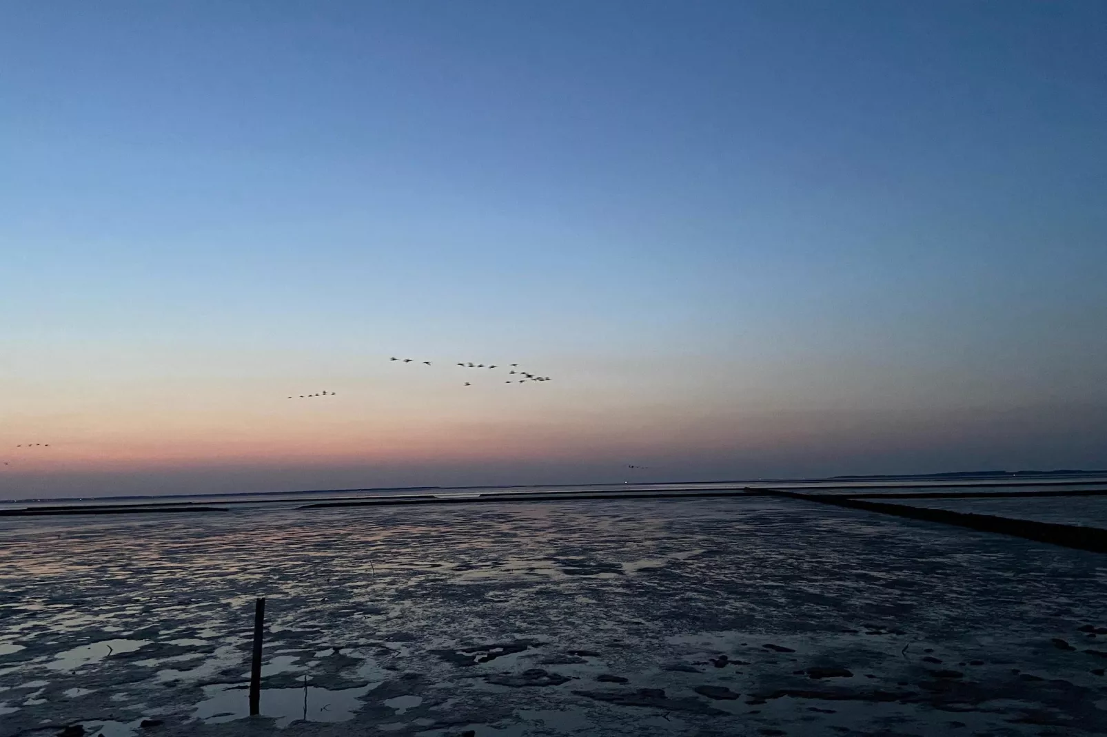 Ferienhaus Seeschwalbe-Areas within 5km in summer