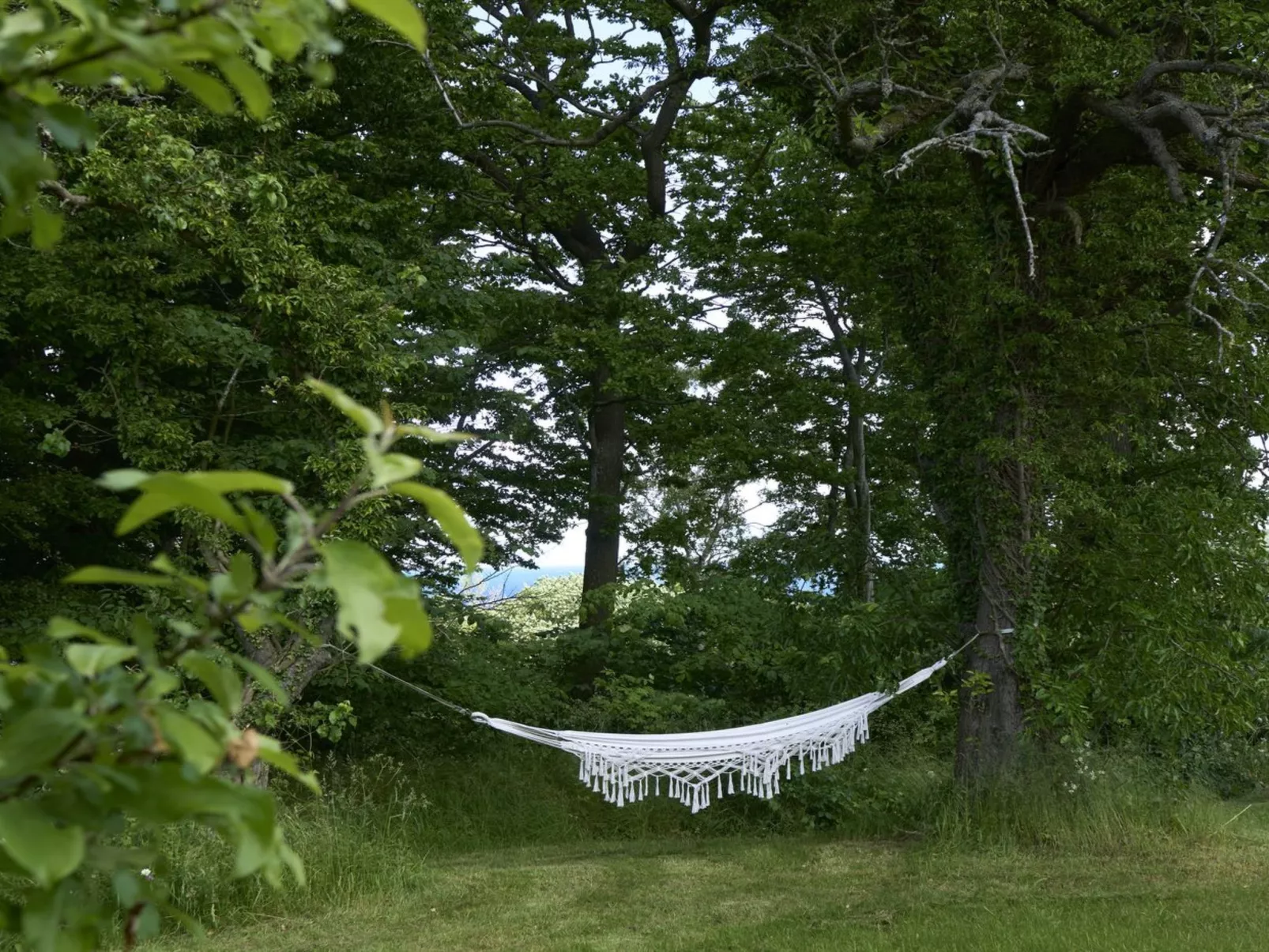 "Merrit" - 250m from the sea-Outside