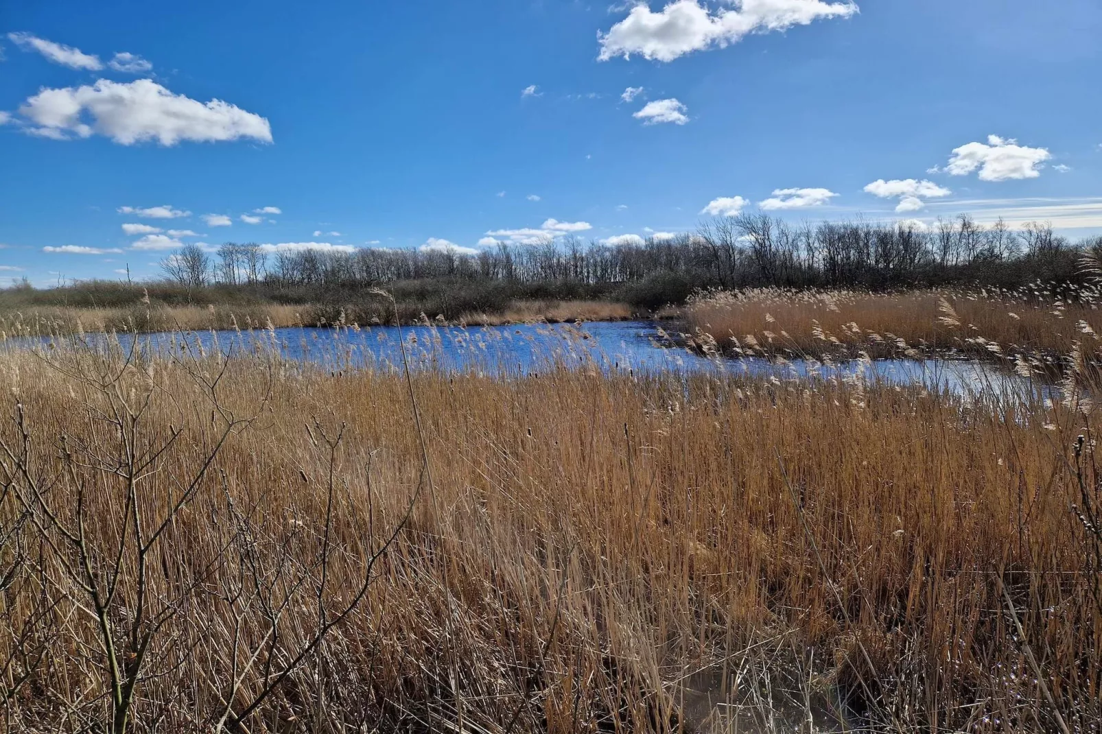 Maison de vacances pour 4 a Bredebro-By Traum-Vue sur l'eau