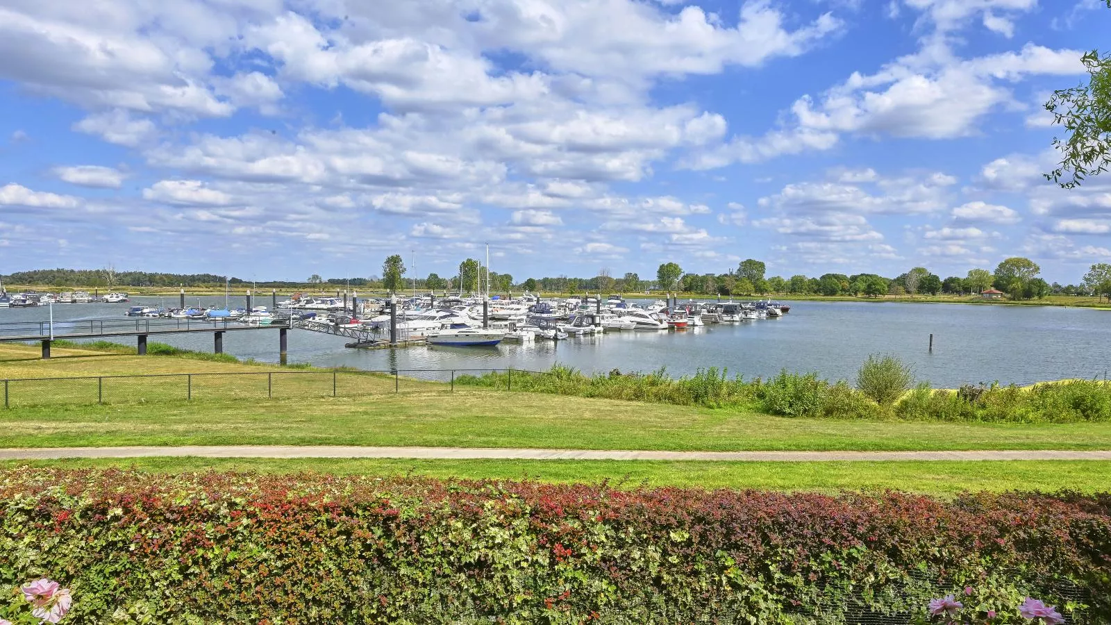Rose Garden-Jardins en été