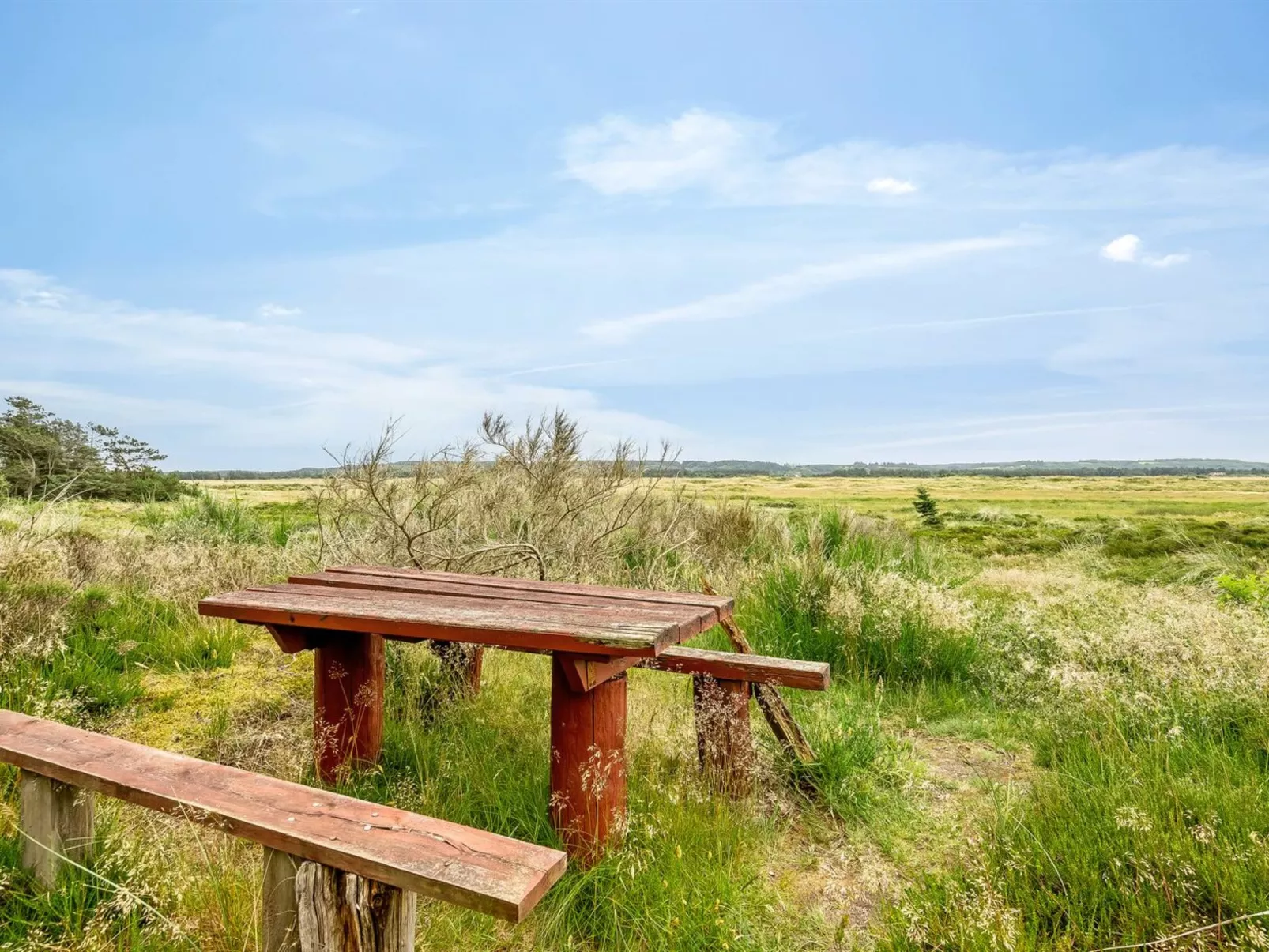 "Aisling" - 700m from the sea-Dehors