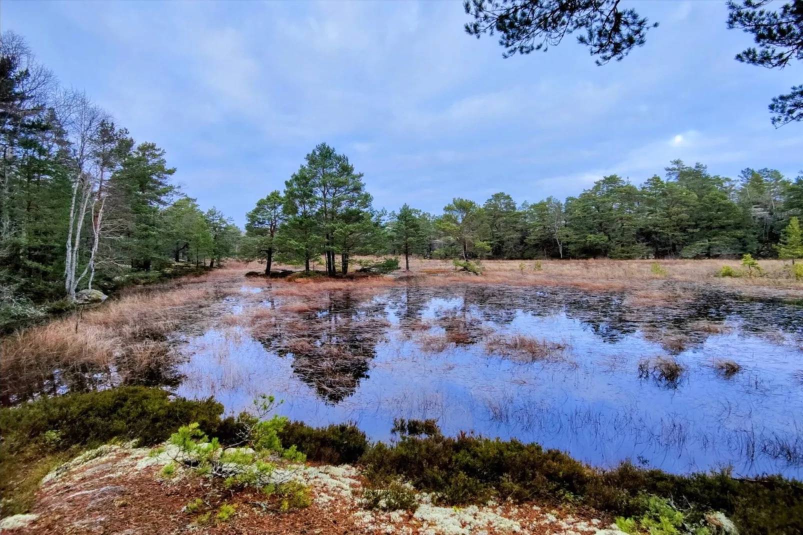 4 etoiles maison de vacances a VÄRMDÖ-Vue sur l'eau