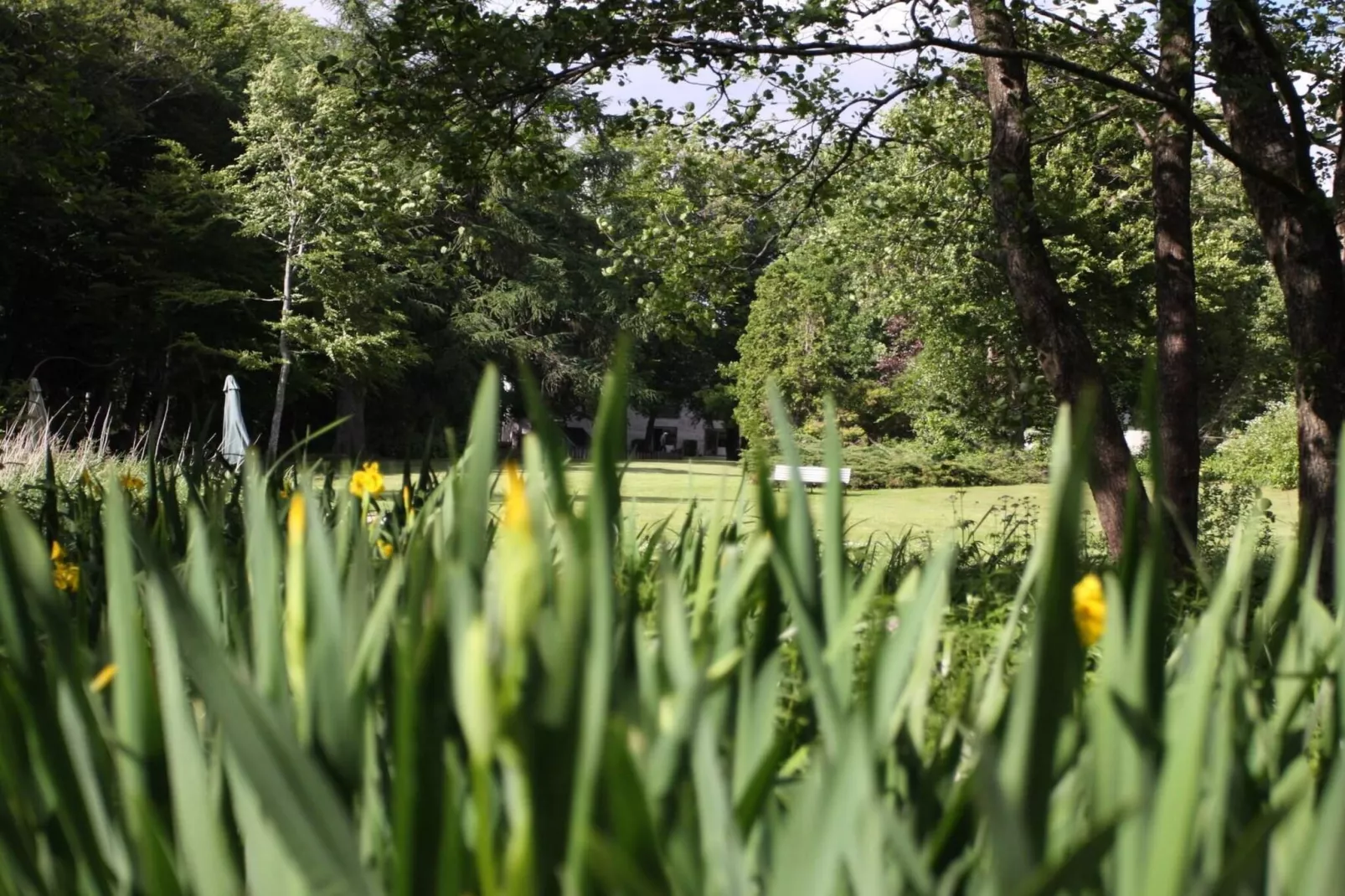 4 Sterne Ferienhaus in Hovborg-By Traum-Nicht zugeordnet