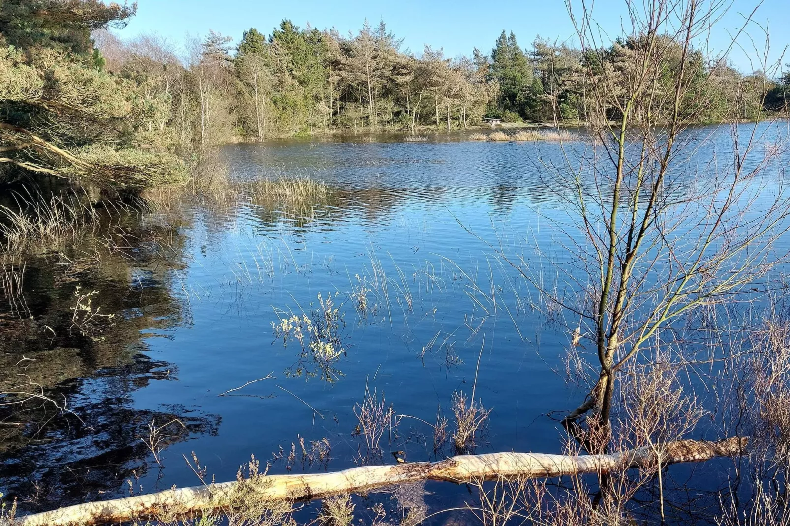 5 Sterne Ferienhaus in Rømø-Wasserblick