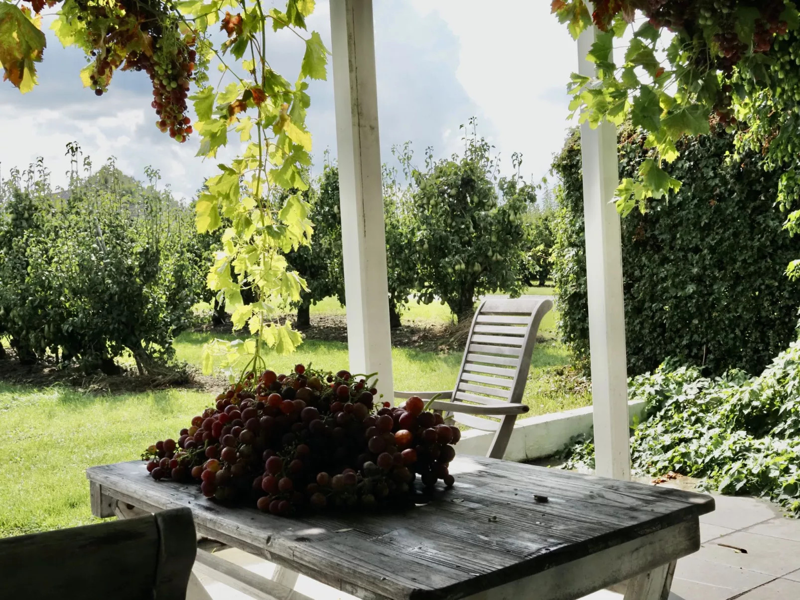 De Orangerie-Outside